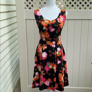 Robert Rodriguez FUN floral Aline dress. NWOT